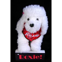 Poodle - White Puppy